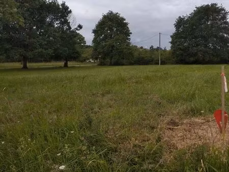 terrain constructible