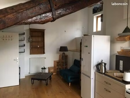 à visiter appartement atypique hypercentre grenoble