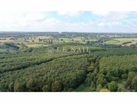 vente bois  forêt et étang à houssay (53360) : à vendre / 491988m² houssay