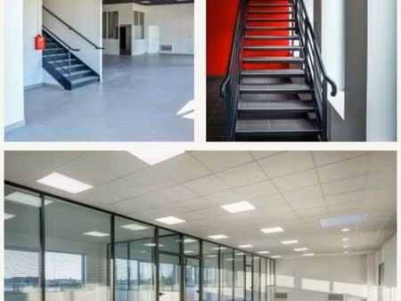 local d'activite 343 m² marines