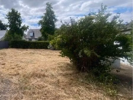 terrain constructible
