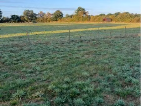 terrain agricole