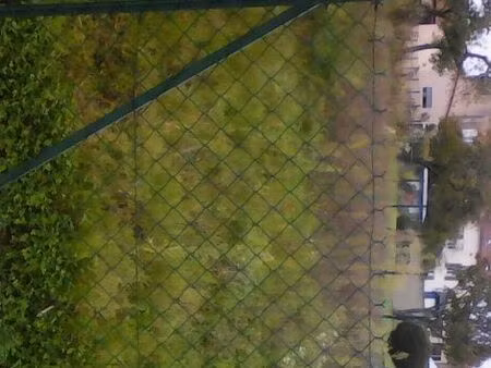 vend terrain constructible (jardin)