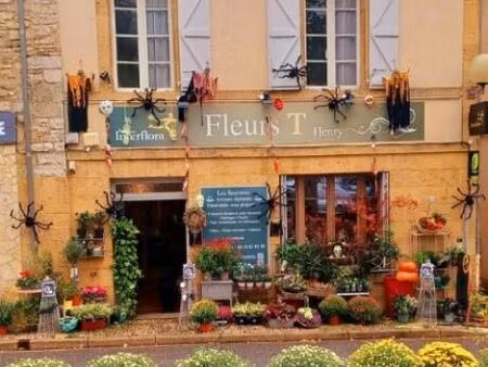 maison de ville avec grande terrasse et climatisation