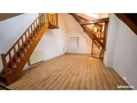 duplex de charme -111m² carrez - terrasse