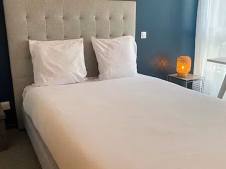 appartement 1 pièce 20 m²