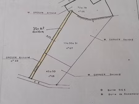 terrain boisé