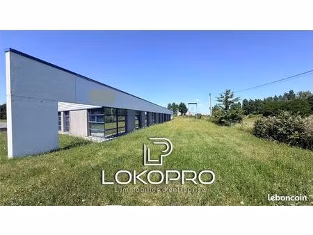 local 1078 m² cholet