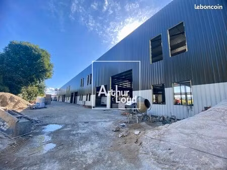 local d'activité 244 m²