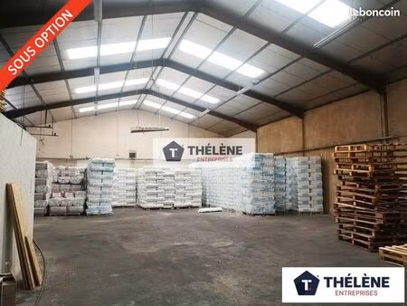 local d'activite 375 m² vendargues