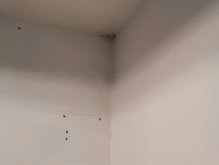 location appartement 6 pièces