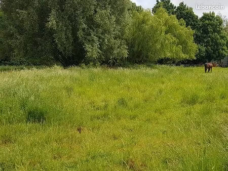 terrain viabilisé  900m²  largeur 20m visite rapide avec propriétaires