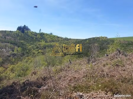 terrain 20200 m² messeix