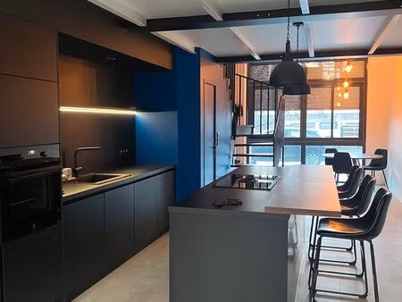 disponible à partir du 15 septembre (pour 6 mois maximum) - loft t3 avec terrasse orientée