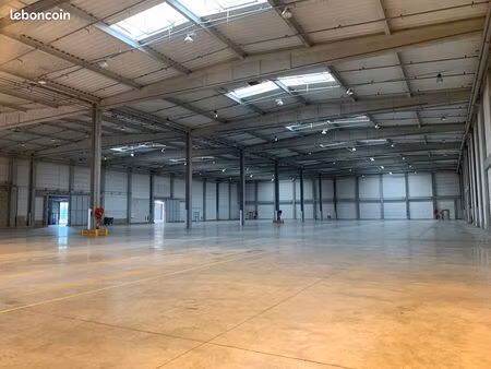 local logistique 11 906 m²