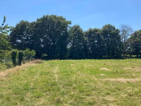 vente terrain à messac (35480) : à vendre / messac