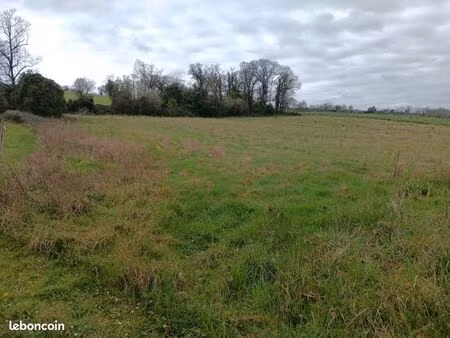 terrain agricole