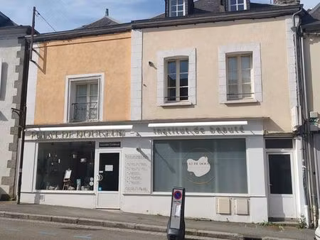 immeuble de rapport – 200 m² – rentabilité immédiate – mayenne (quartier st-martin)