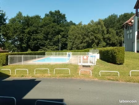 t1 bis lumineux et meublé 31m² - terrasse 11m² - piscine - pau