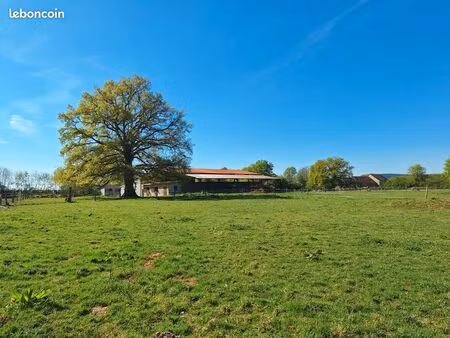 propriété équestre avec manège et hectares