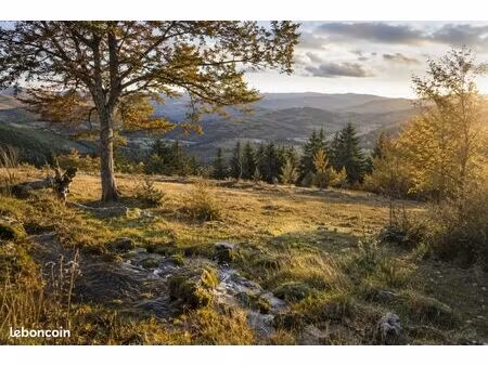 terrain pleine nature