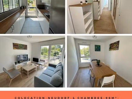 ?? chambre a louer dans un appartement refait à neuf - neudorf musau ??