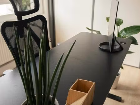 bureau pro à louer