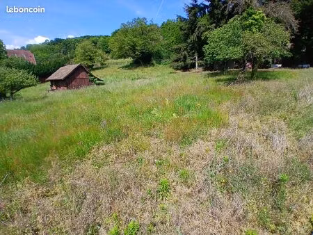 terrain 2398 m² munster