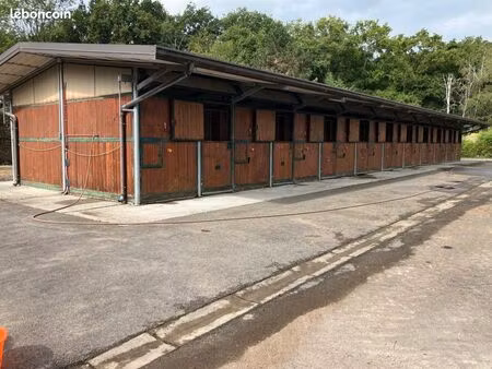 propriété équestre – centre d’entraînement de sers (pau) – 4 182 m² – 20 boxes