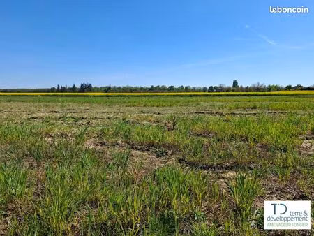 terrain 365 m² habsheim