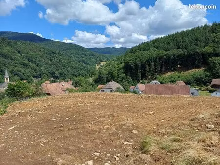 terrain constructible