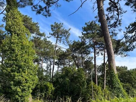 terrain rare - anglet