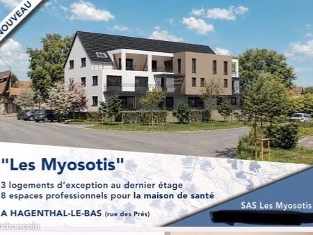 appartement f4 hagenthal le bas