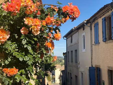 maison à vendre à villasavary (11150) - aude