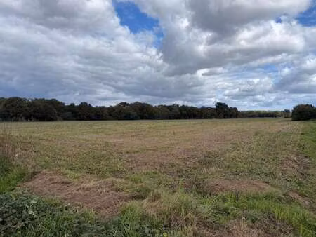 vente terrain à malestroit (56140) : à vendre / 1400m² malestroit