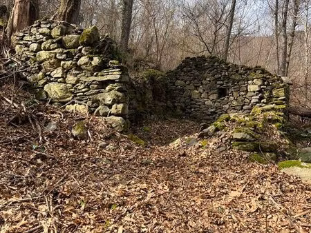 grange avec parcelle de forêt