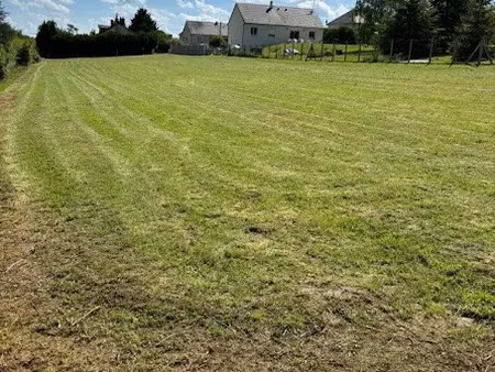 vente terrain 2439 m² à jouet-sur-l'aubois (18320)  27 500 €