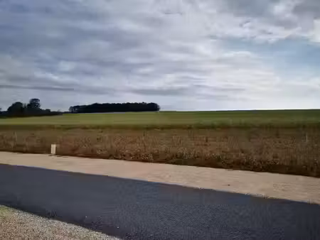 vente terrain 947 m² à rimaucourt (52700)  17 046 €
