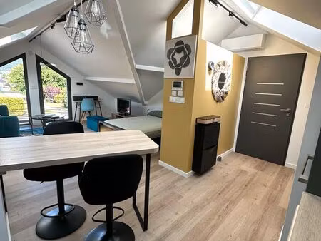 appartement meublé 1 pièce 44 m2 ( 22 m2 loi carrez)