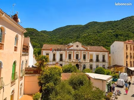 immeuble 200 m² amélie-les-bains-palalda