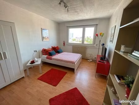 studio meublé 28m2 neudorf