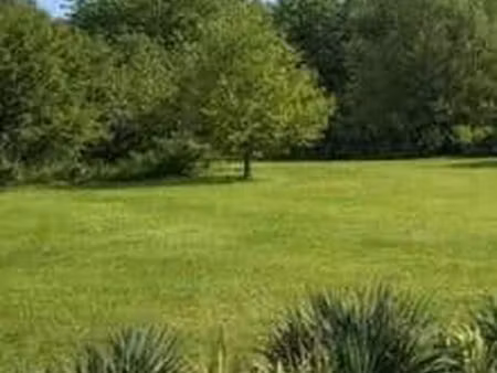 vente terrain 700 m² à vescemont (90200)  45 000 €