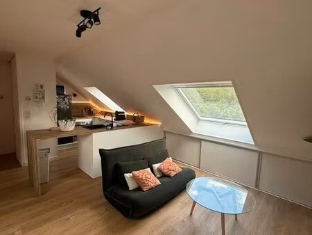 studio bis meublé fillinges