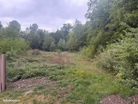 terrain à boissy le châtel