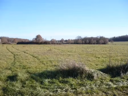 vente terrain 750 m² à chambourg-sur-indre (37310)  49 000 €