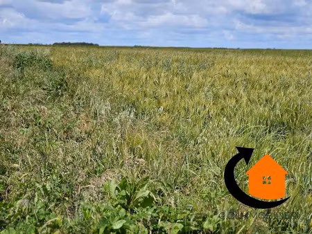 vente terrain 1000 m² à olle (28120)  75 000 €