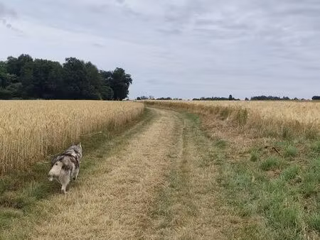 recherche maison de campagne