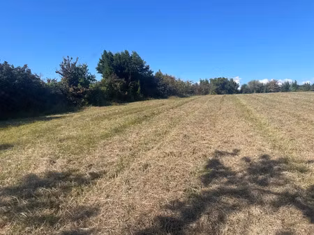 vente terrain 1200 m² à saint-trojan (33710)  62 500 €