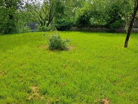 maison en pierre 135 m² – grand terrain