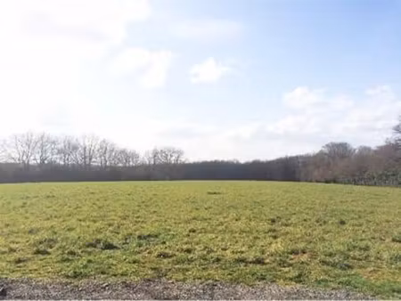 vente terrain 600 m² à nouzilly (37380)  65 000 €
